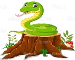 Мультяшный Забавный Snake — стоковая векторная графика и другие изображения  на тему Анаконда - Удав - iStock